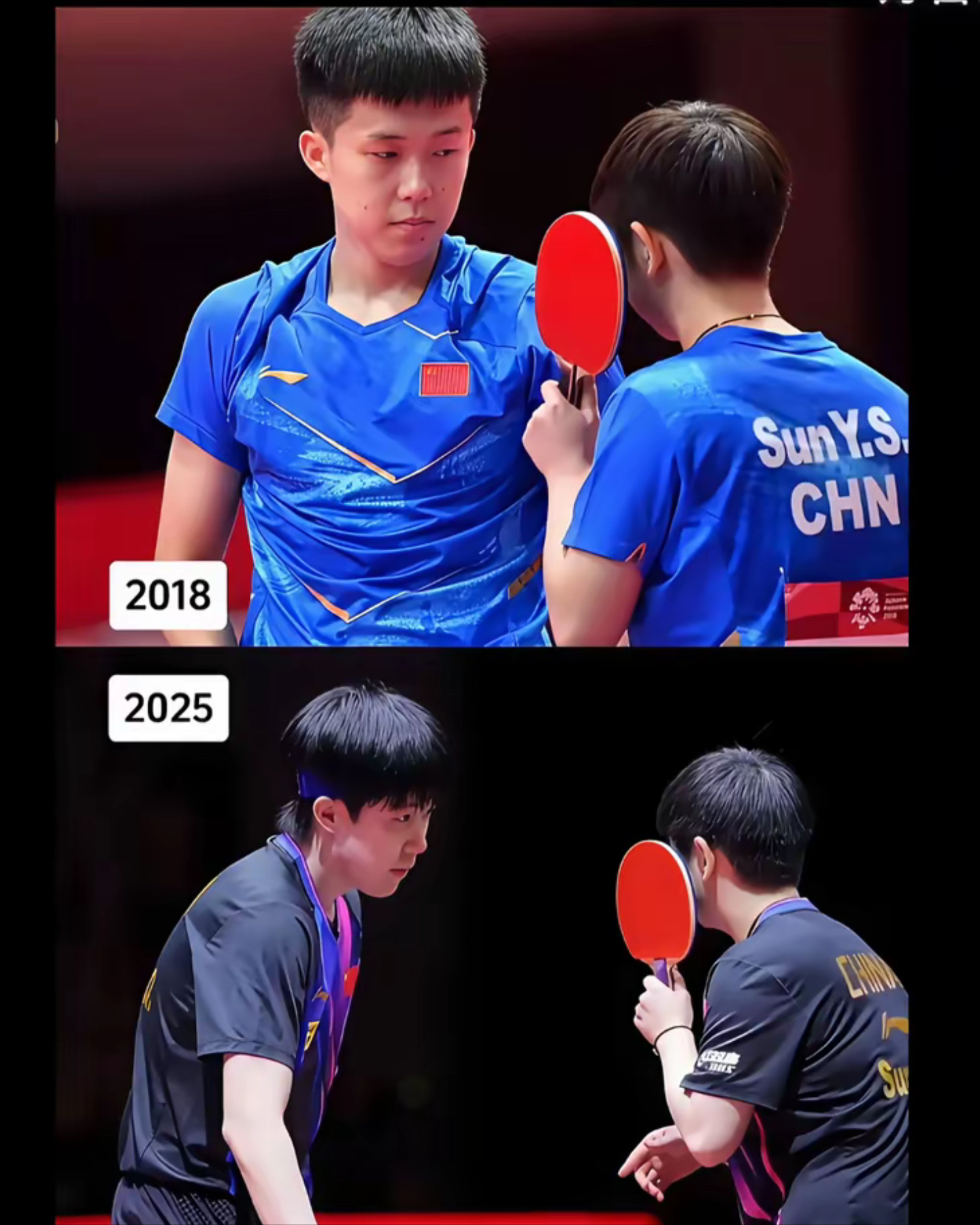 开云体育登录-韩国队轻取波兰队，许昕高光表现  第1张