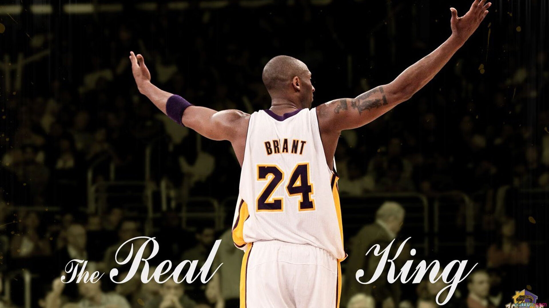 开云APP-年度焦点之战之夜，文班亚马，那个在时间裂缝中雕刻胜负的巨人